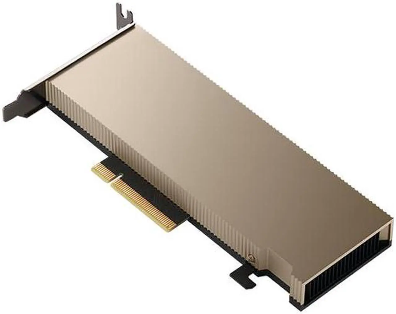 NVIDIA A2 (900-2G179-0020-000)
