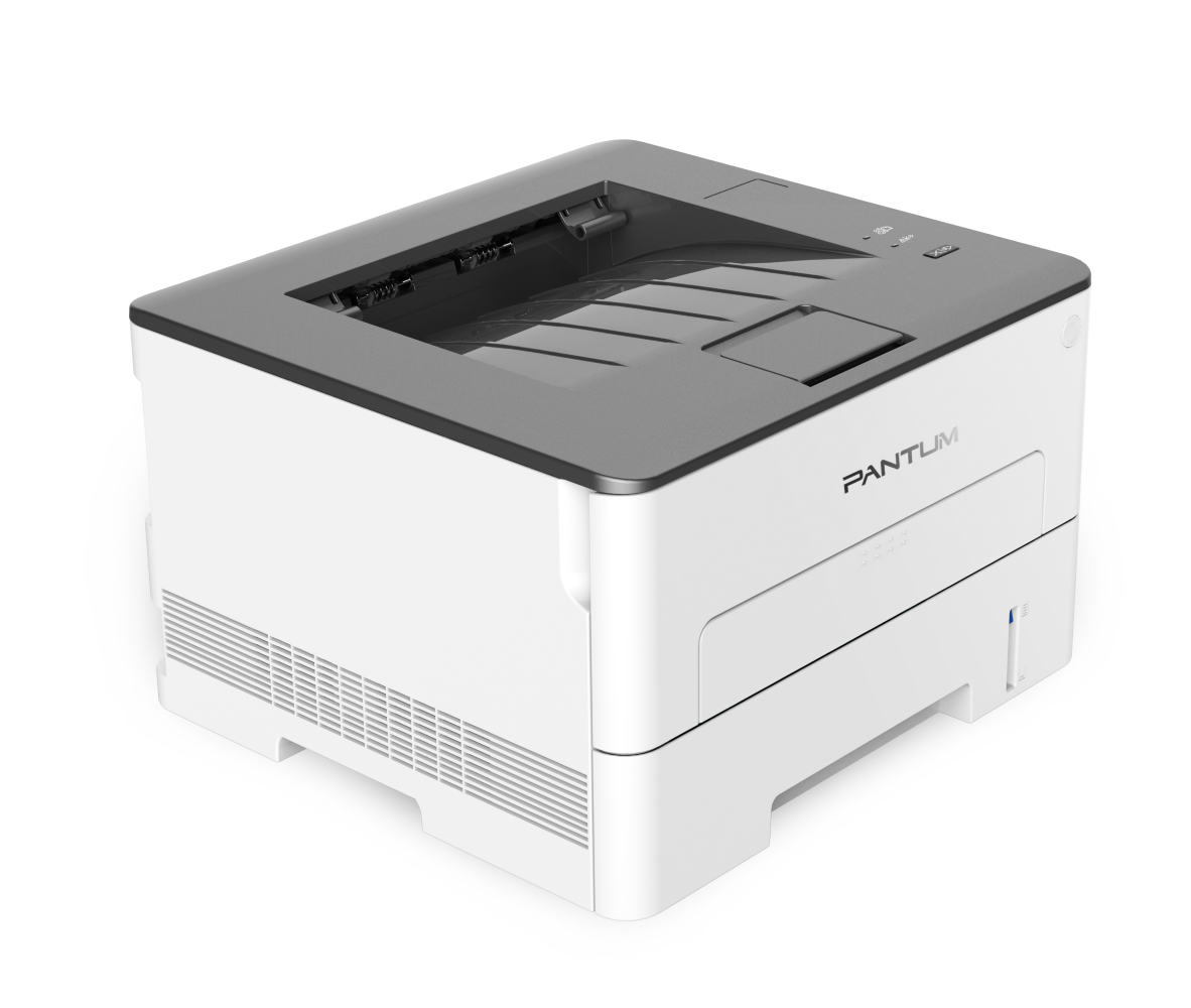 Pantum P3010D