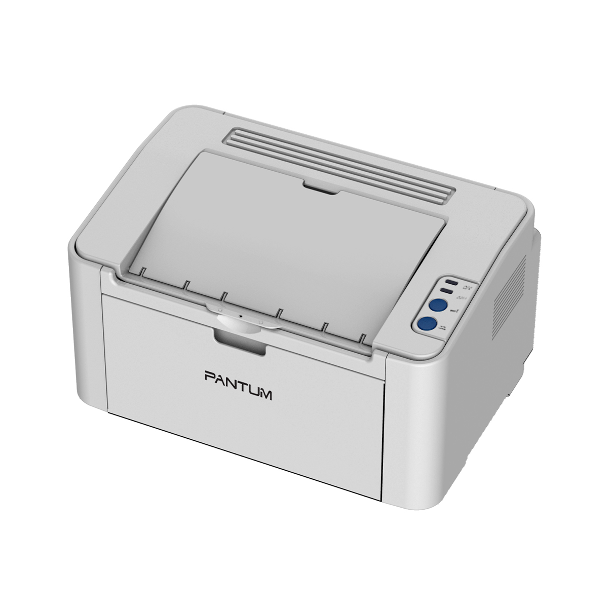 Pantum P2200