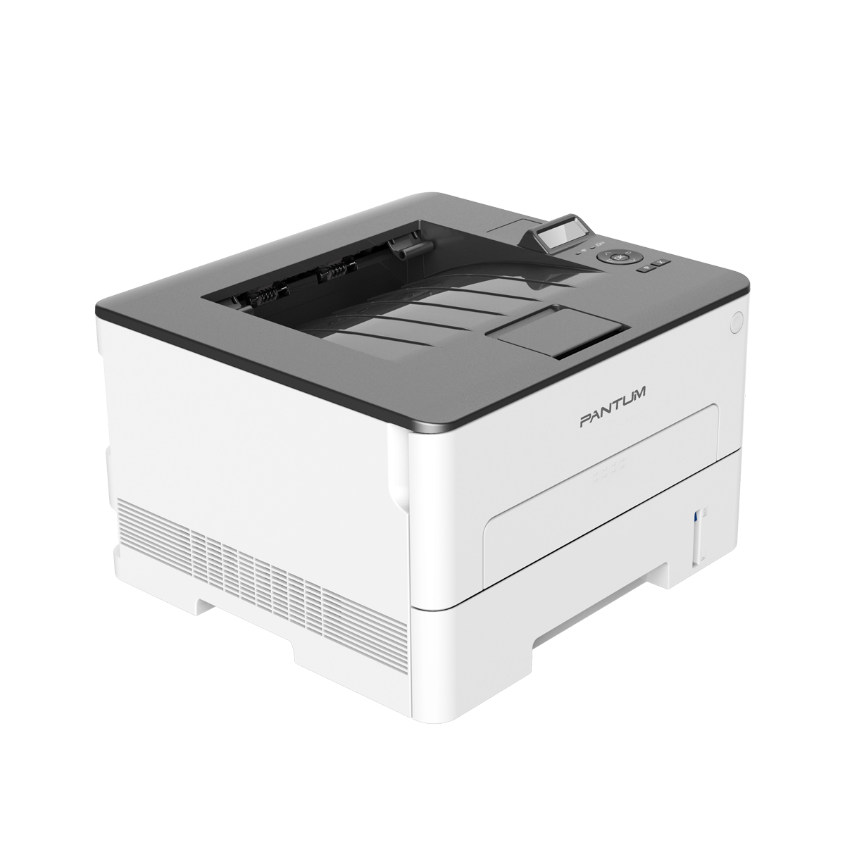Pantum P3010DW